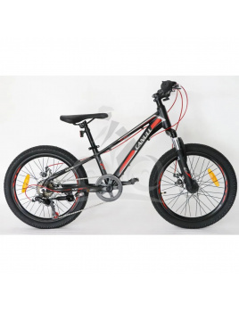 Detský bicykel CANULL XC 221 20