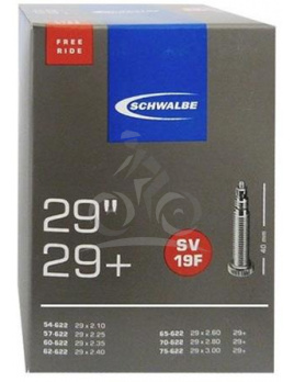 Schwalbe duša 29