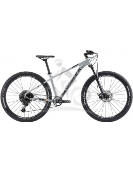 Horský bicykel SILVERBACK Stride SX Grey/Black - 20