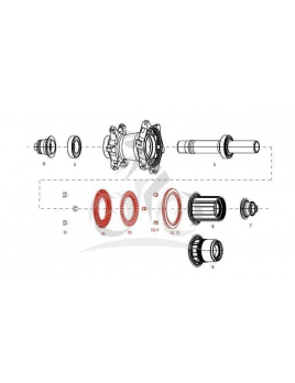 ZIPP CLUTCH ASSY WITH SEAL REAR COGNITION NSW Množ. Uni (11.2018.035.000)