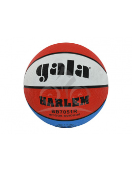 Basketbalový zápas GALA HARLEM, veľkosť 7