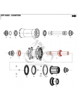 ZIPP AXLE WITH BEARINGS REAR COGNITION NSW Množ. Uni (11.2018.032.002)